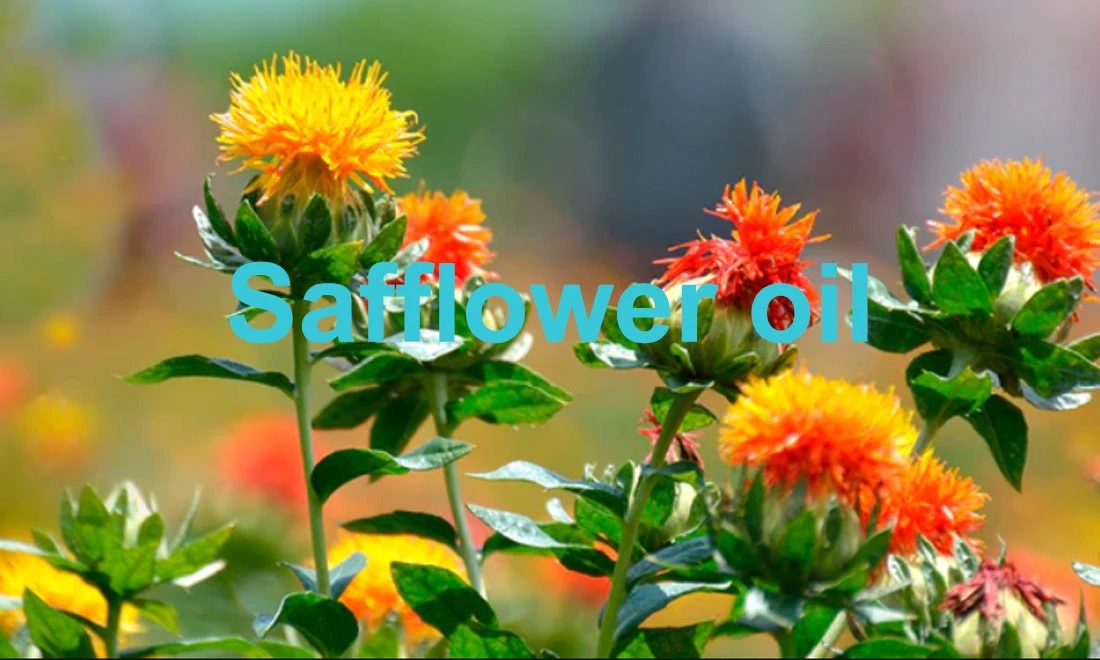 best Safflower oil 2